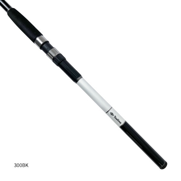 BEGINS MULTI SET【サビキ/ちょい投げ/堤防釣り/マルチロッドとスピニングリールのセット】